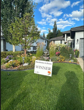 And The Winner Is...