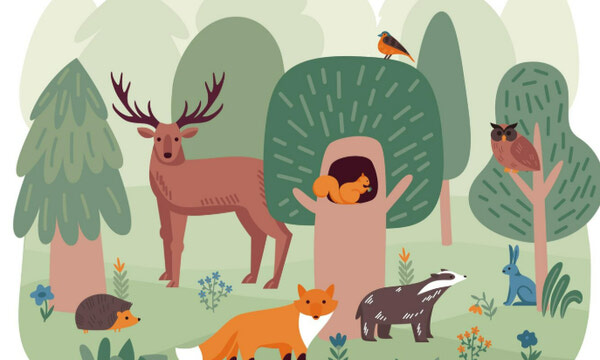 Did you Know? Feeding Wildlife...